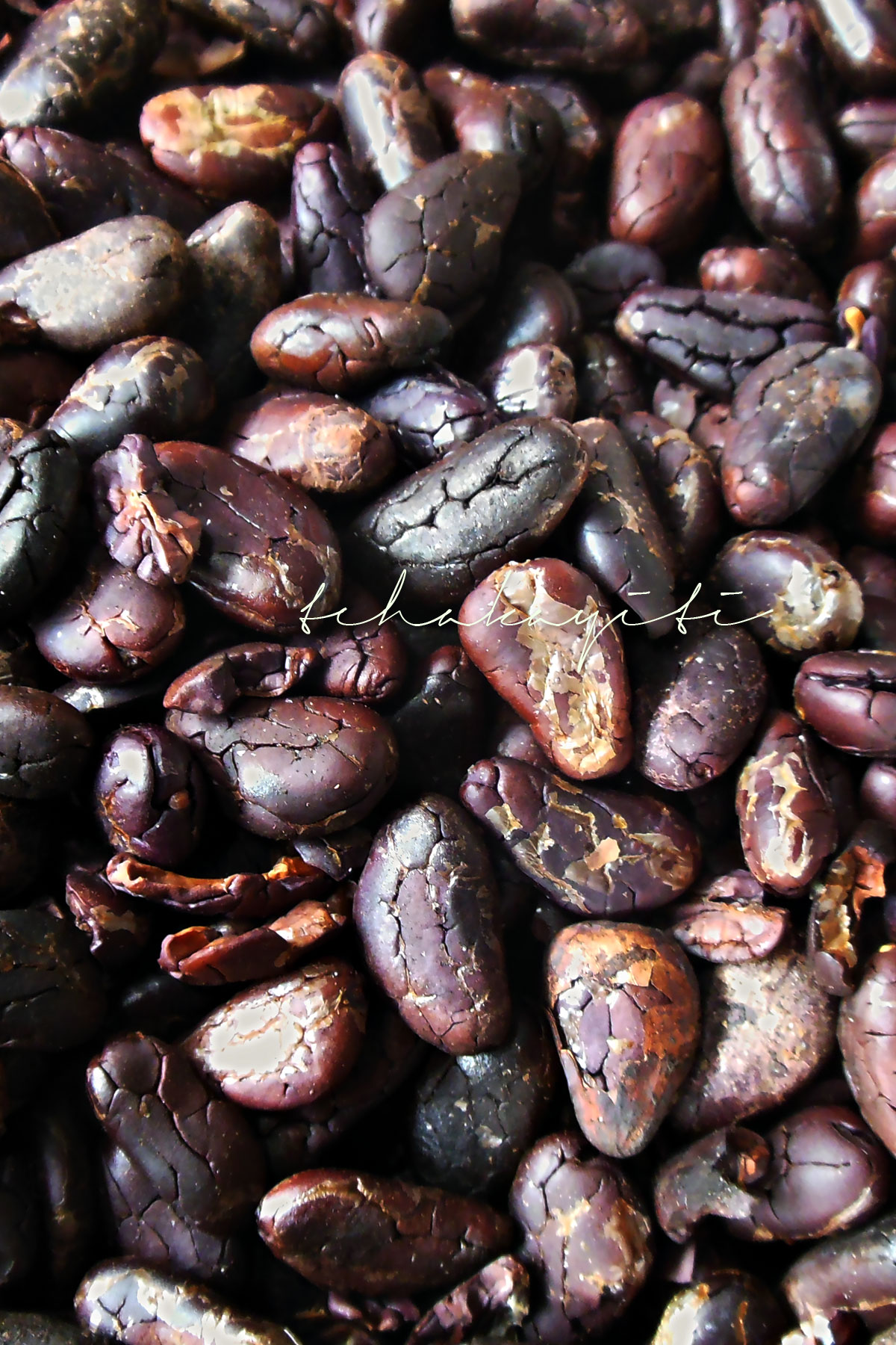 Believe it or not, these are roasted cocoa beans, the first step in the chocolate making process. | tchakayiti.com