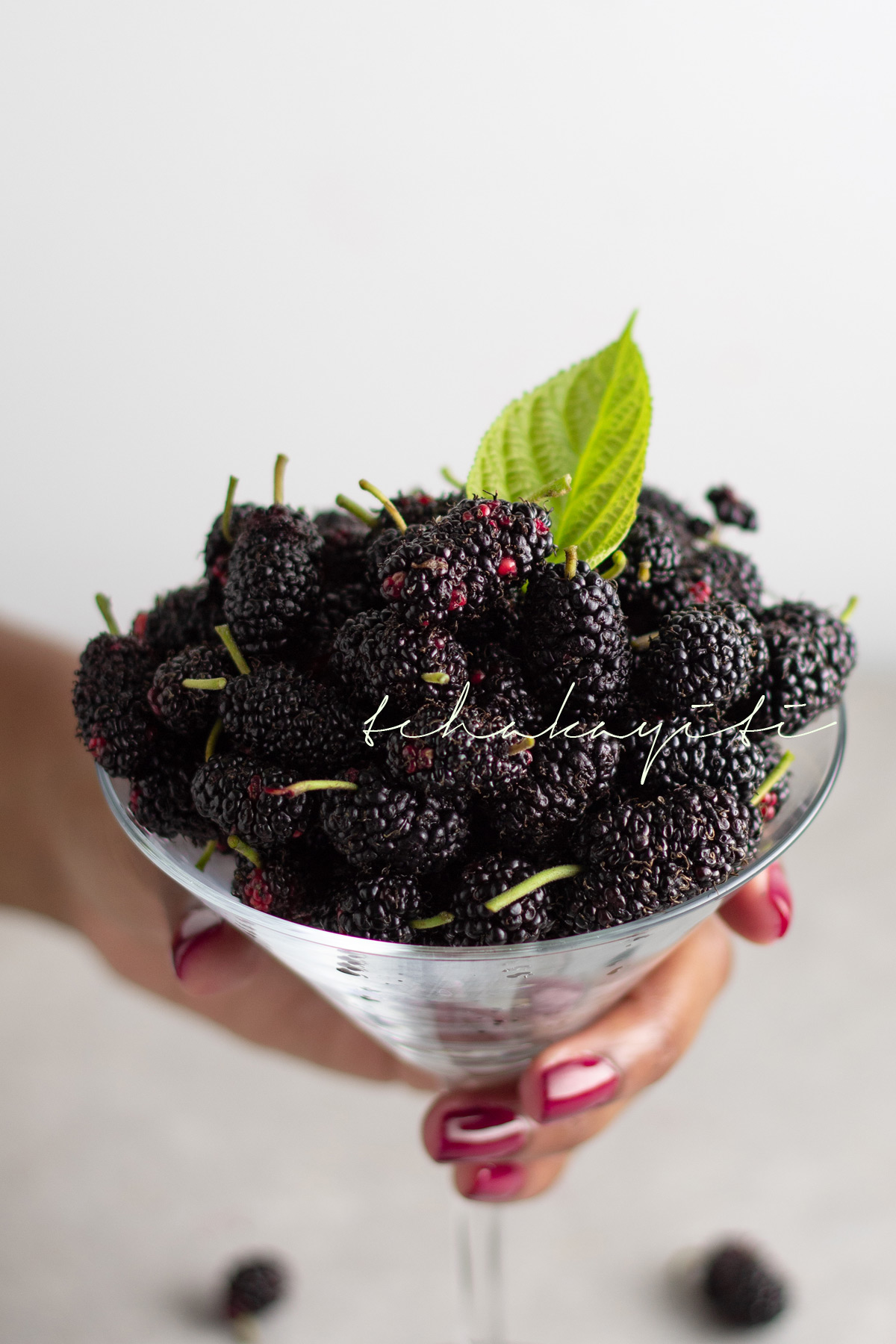 Handpicking mulberries is one of life's many little pleasures. | tchakayiti.com