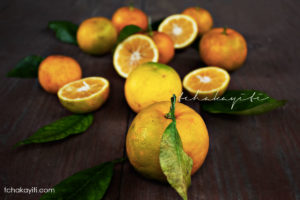 Sour oranges, key ingredient in Haiti's cooking. | tchakayiti.com