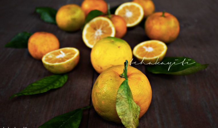 Sour oranges, key ingredient in Haiti's cooking. | tchakayiti.com